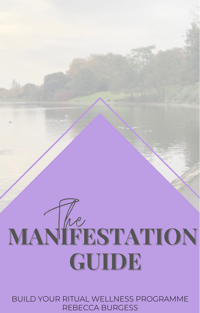 THE MANIFESTATION GUIDE